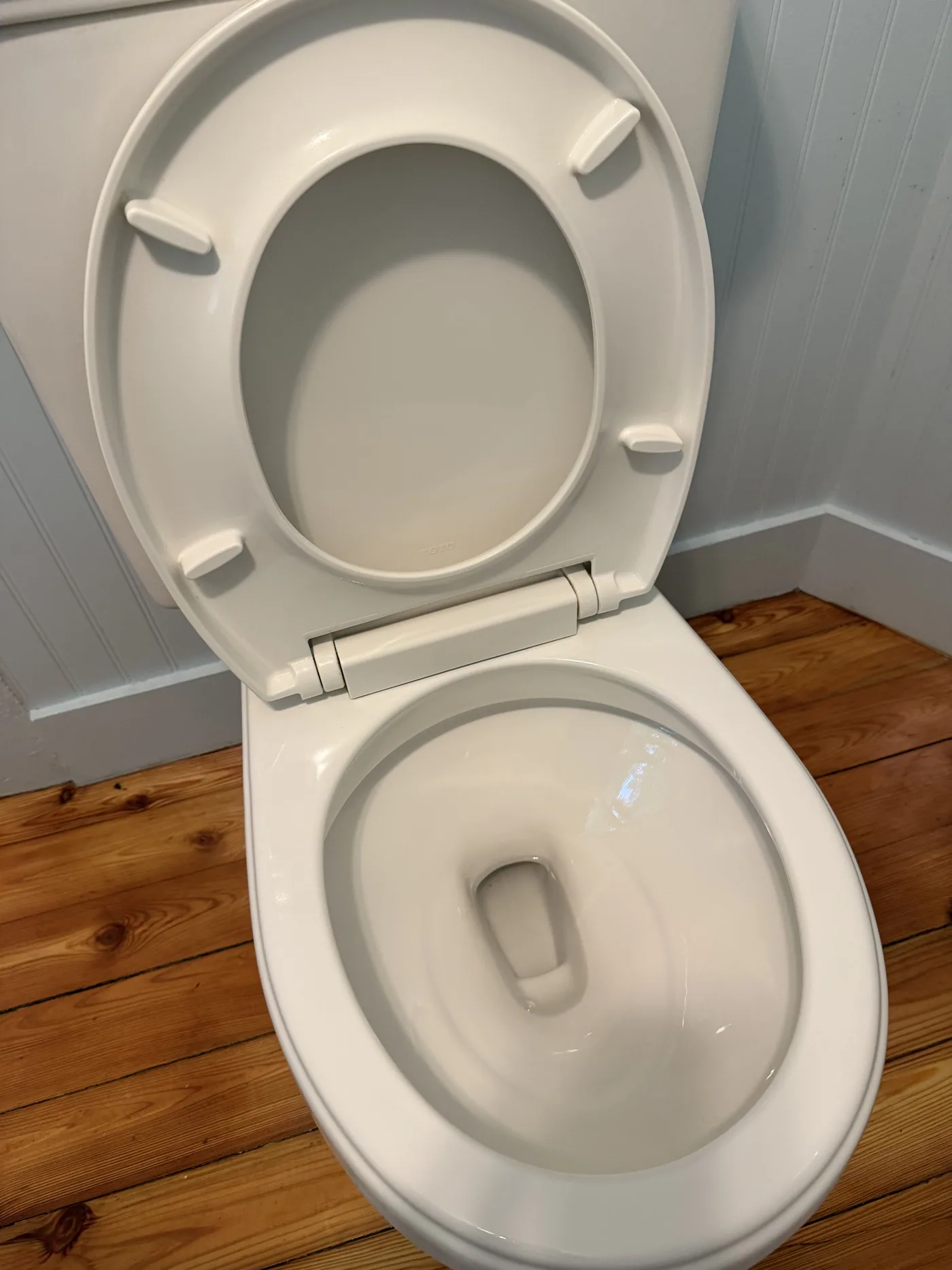 After: sanitized toilet with a bright white bowl, seat and hinges
